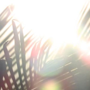 Sunlight for Health