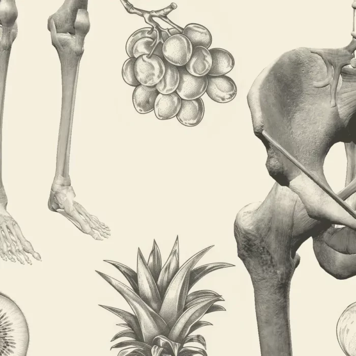 Seventh-day Adventist Diet for Osteoporosis