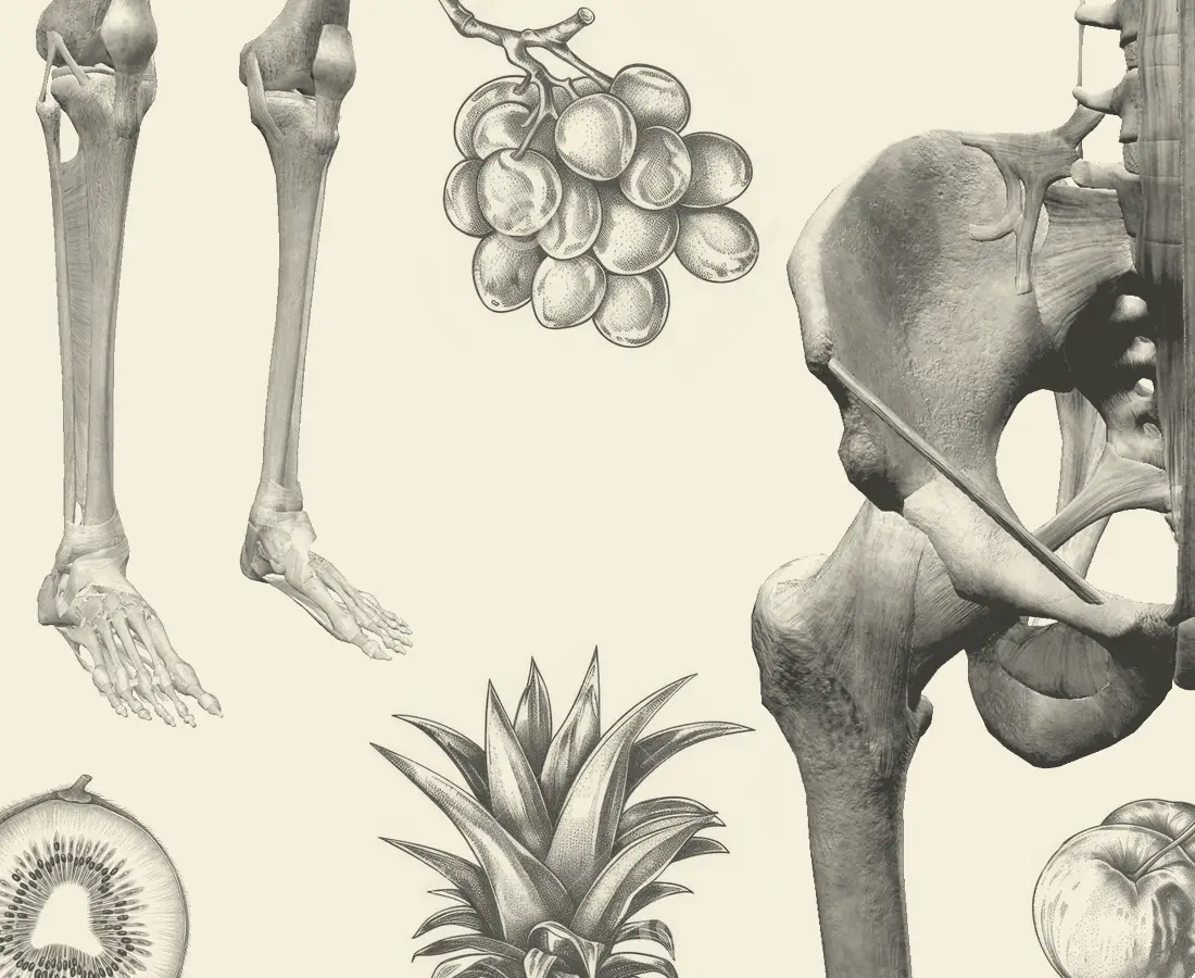 Seventh-day Adventist Diet for Osteoporosis